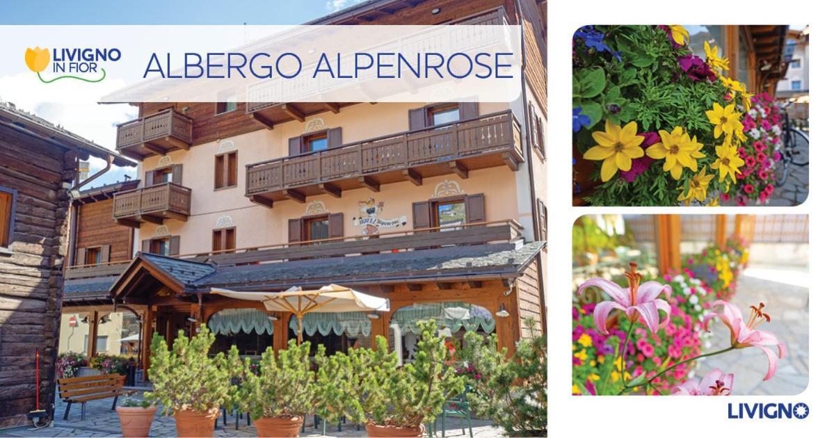 ليفينو Albergo Alpenrose المظهر الخارجي الصورة