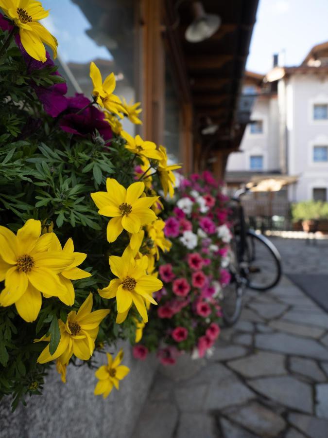 ليفينو Albergo Alpenrose المظهر الخارجي الصورة